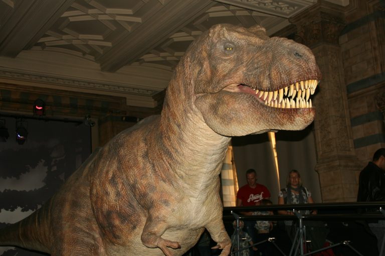 National History Museum